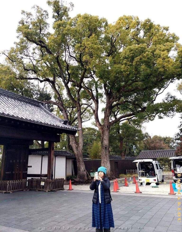 NAGOYA - Parc Tokugawa - 10.01.2024 - 07.jpg